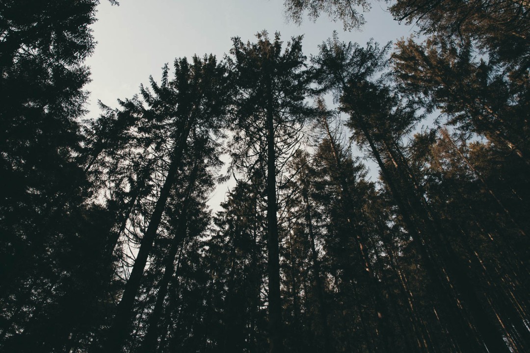 Concevoir des nudges verts. Influencer subtilement les utilisateurs vers des choix plus responsables