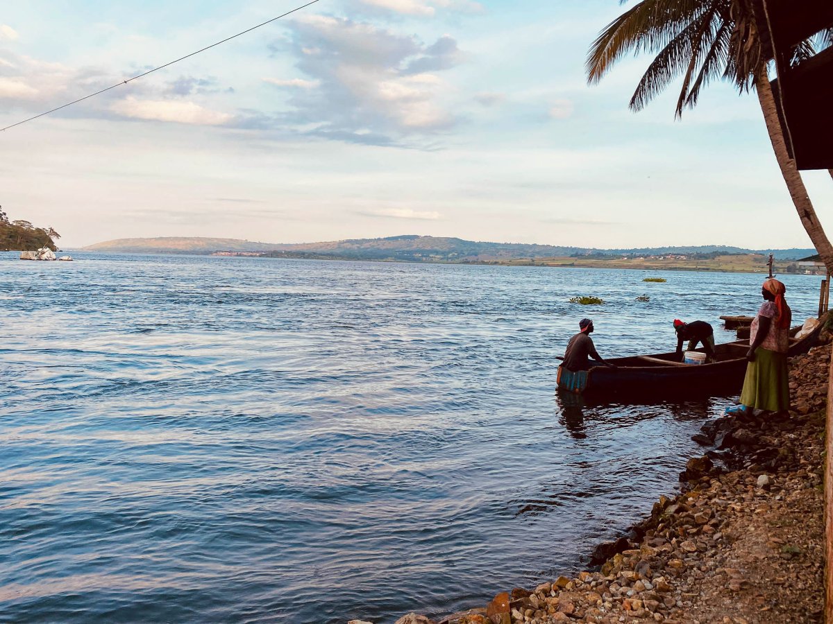 Ce que la Low-Tech m’a appris. Mes remises en question pour un avenir plus simple